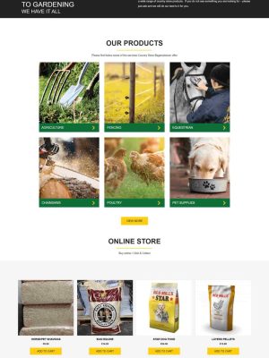 Bagenalstown-Country-Store